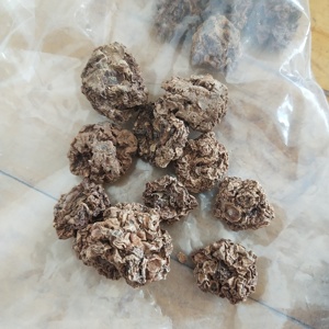 Chong Ying Guo Toàn Bộ Khô Nguyên Liệu Tự Nhiên Actinidia Polygama Trái Cây Cho Mèo Chơi Đồ Chơi - Product Image 3