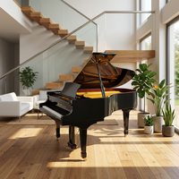 Grand piano dans l'espace sous l'escalier