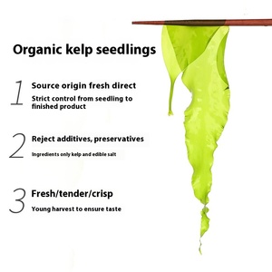 Algues Séchées Biologiques en Sachet de 250g, Préparées à la Vapeur, pour Hot Pot et Plats Froids - Product Image 2
