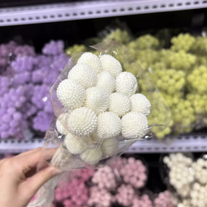 Matériaux de bricolage faits à la main en gros : Fleurs séchées, boules dorées, fleurs de Craspedia colorées préservées pour décorations de mariage - Product Image 2