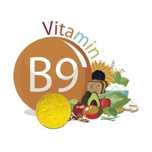 Gezondheidsproducten Foliumzuur Vitaminen B9 Supplementen Vitamine B9 Foliumzuur Poeder - Product Image 3