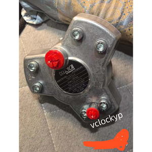 Bomba de Pistones Radiales HAWE R5.6A Nueva, Envío por FedEx o DHL - Product Image 4