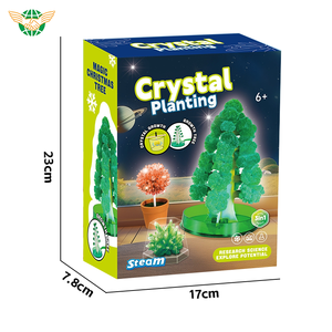 2024 nouveau produit Science Kit expériences <span class=keywords><strong>cristaux</strong></span> arbre de noël Science expérience cristal croissant Science jeu - Product Image 6