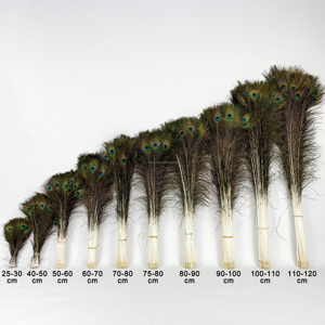 Plumas de Cola de Pavo Real Naturales al por Mayor, 50-120 cm, de Alta Calidad, para Bodas, Carnavales, Festivales, Disfraces, Decoración del Hogar y Manualidades - Product Image 1