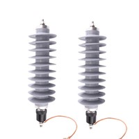 Parafoudre polymère, dispositif de protection contre les surtensions, protection contre la foudre pour système de distribution d'énergie électrique