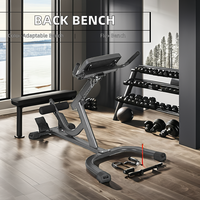 Chaise romaine en acier réglable bas du dos banc d'exercice ischio-jambiers fessiers maison Gym Fitness outil Machine-Extension Machine banc