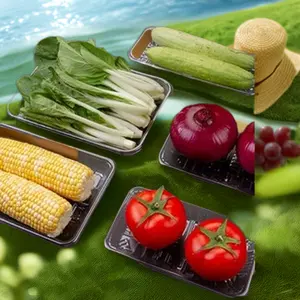 定制双接触式塑料食品托盘装饰一次性食品储藏盘中国红水果储藏纸盒