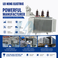 Transformateur de puissance Leineng 16 MVA 33 kV/11 kV à faible perte avec enroulement en cuivre pour sous-station de distribution principale de parc industriel moyen OEM