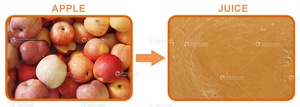 Mélangeur industriel automatique multi-fruits, légumes, mangue, tomate, pastèque, pâte <span class=keywords><strong>de</strong></span> jus, mélangeur <span class=keywords><strong>de</strong></span> pulpe - Product Image 3