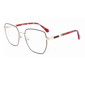 Wholesale Custom Eyeglass Frames Classical Optical Glasses Frame Metal Temple Eyewear Spectacles Eye Glass Women