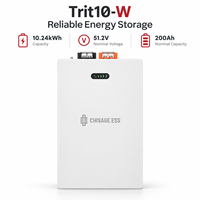 Batterie murale LiFePO4 CHISAGE ESS Trit10-W 10,24 kWh 51,2 V 200 Ah pour stockage d'énergie solaire domestique