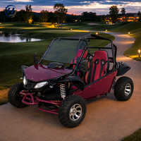 UTV Mini Premium 200CC Berbahan Bakar Gas untuk Perjalanan Santai di Medan Berat, Buggy Tugas Berat untuk Siaran Reality TV