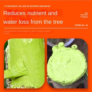 Agent cicatrisant pour les bonsaïs et les arbres fruitiers, pâte d'élagage modèle CB6, fabriqué en Chine - Product Image 4
