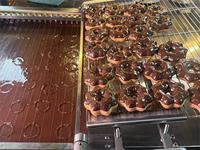 Yufeng CE a approuvé la chaîne de production industrielle de beignet de Mochi avec le convoyeur de friture