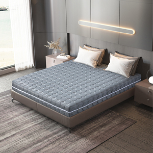 Kích Thước Đầy Đủ Đồ Nội Thất Nhà Phòng Ngủ Nệm Cao Su Thoải Mái Dày Bộ Nhớ Bọt Túi Mùa Xuân Đóng Hộp Mùa Xuân Nệm - Product Image 2