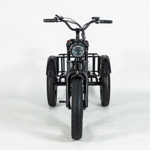 Triciclo Eléctrico de 20 Pulgadas para Adultos, Motor sin Escobillas de 750w, Neumático Grueso, Bicicleta de 3 Ruedas con Carrocería Abierta, Capacidad de Carga de 300 kg - Product Image 5