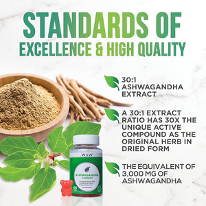 WXW Stock Support Focus Memory Ashwagandha Gummies Suplemento Ashwagandha Maca Root Extract Gummies Suplemento - Product Image 3