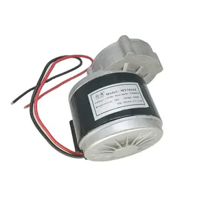 12V DC Motor 250W DC Gear Motor for Electric Bicycle