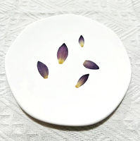 Pétales de lotus bleu séchés naturels et pressés, pétales de nénuphar séchés pour décorations, spécimens de fleurs végétales