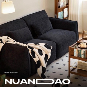 कपड़े सोफे आधुनिक सादगी फ्लैनेल कवर स्पंज छोटे अपार्टमेंट रहने वाले कमरे किराये के घर किराये के तीन-सीट वाले गर्म द्वीप - Product Image 4