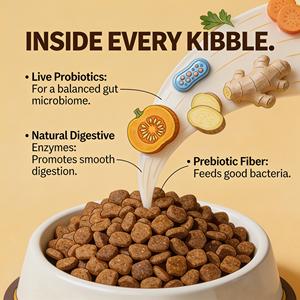 <span class=keywords><strong>Nourriture</strong></span> sèche <span class=keywords><strong>pour</strong></span> chats, soin <span class=keywords><strong>gastro</strong></span>-<span class=keywords><strong>intestinal</strong></span> complet, conforme aux normes internationales, favorise la santé intestinale. - Product Image 3