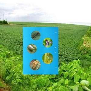 ใหม่ Ln <span class=keywords><strong>2022</strong></span>การควบคุมแมลงเหนียวสองด้านสำหรับพืช - Product Image 1