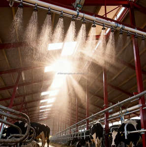 Desain Modern Industrial Gudang Pembiakan Struktur Baja Prefabrikasi Kandang Ayam Kandang Unggas Rumah Pertanian - Product Image 6