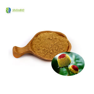 SLBIO 스필란테스 액멜라 꽃 추출물 분말 10:1 20:1 액멜라 올레라시아 추출물 - Product Image 2