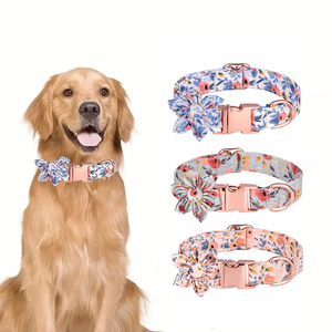 Ingrosso logo personalizzato Design regolabile fiore collare per cani guinzaglio - Product Image 6