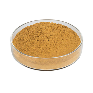 Tùy chỉnh Nhà máy cung cấp số lượng lớn bán buôn 100% nước độ hòa tan <span class=keywords><strong>Ginkgo</strong></span> <span class=keywords><strong>Biloba</strong></span> lá chiết xuất bột flavonoids 24% <span class=keywords><strong>ginkgolide</strong></span> 6% - Product Image 3