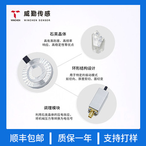 Ring Piezoelectric Sensor 5000N Force Measurement Quartz Crystal Pulse Signal Output WCPE200 Series - Product Image 3