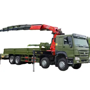 Camión de carga pesada Sinotruk 8X4 con grúa de pluma Sany-palfinger 16Ton 20Ton 25Ton grúa cargadora de pluma hidráulica para la venta