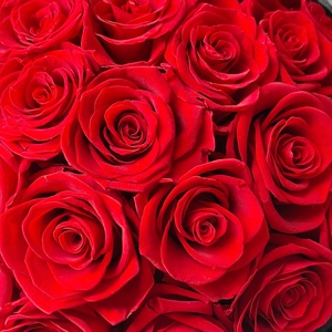 Caja de Rosas Eternas en Forma de Abrazo, Decoración Minimalista Estilo Wabi-Sabi para Mesa de Centro o Escritorio, Regalo para el Día de la Madre o San Valentín, Larga Duración - Product Image 1