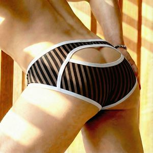 Slips pour hommes à découpe arrière pour un ajustement mince, 90% nylon 10% élasthanne, tricot rayé |   Sous-vêtements de mode OEM disponibles, caleçons pour hommes - Product Image 1