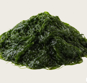 TW Maesaengi PDRN de Alta Potencia 100ppm, Extracto de Planta, Materia Prima Cosmética, Polinucleótido Derivado de Algas Marinas - Product Image 4