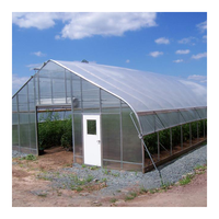 Serre tunnel agricole Polyhouse avec petites structures en polycarbonate pour la culture hydroponique de légumes