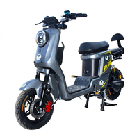 Vélo électrique de ville R9 800W avec moteur sans balais, batterie au plomb-acide 48V 20AH, vitesse de 45 km/h, suspension intégrale, freins à disque hydrauliques, électronique