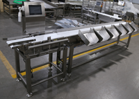 Pangasius Verse Vis Zeevruchten Kip Garnalen Bevroren Voedsel Groenten Fruit Meertraps Weegmachine Check Weger