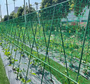 Supporti per Piante Rampicanti Rivestiti in Plastica Moderni da 1,8m e 2m, Bastoncini di Supporto per Piante Rivestiti in Plastica - Product Image 2