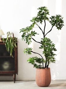 <span class=keywords><strong>Pot</strong></span> <span class=keywords><strong>de</strong></span> fleurs d'intérieur/extérieur <span class=keywords><strong>en</strong></span> bois et ciment, motif géométrique vintage nordique, <span class=keywords><strong>grand</strong></span> modèle, pieds <span class=keywords><strong>en</strong></span> forme <span class=keywords><strong>de</strong></span> bec <span class=keywords><strong>de</strong></span> canard - Product Image 3