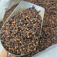 Clous de girofle entiers naturels en gros, aromatiques et puissants, épices brutes pour la cuisine, clous de girofle en vrac pour marinades et currys