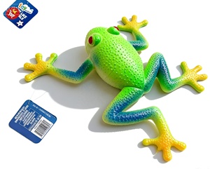 Jouet <span class=keywords><strong>grenouille</strong></span> en TPR vert souple unisexe pour enfant, nouveauté et jouet farfelu - Product Image 1