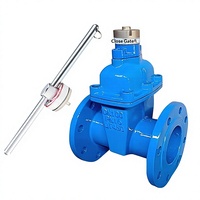 Vanne à opercule manuelle en fonte ductile à bride avec verrouillage magnétique et joint souple CZ45X-16Q NRS DN50-DN300 pour la protection des compteurs d'eau