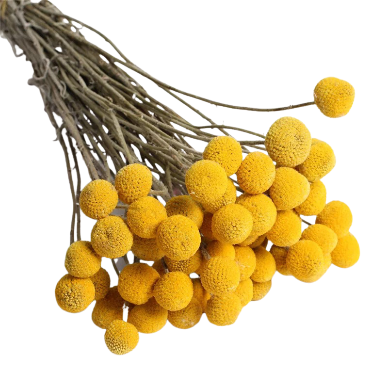 Natural Yellow