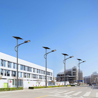 Lampe solaire LED extérieure IP66 en aluminium anti-corrosion, luminosité réglable, résistante aux basses températures, 40W-100W, pour parking/industrie