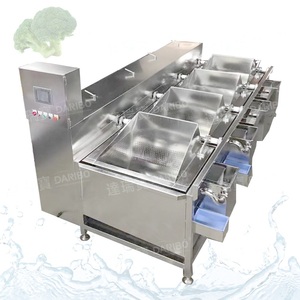 Vegetable Washer Soybea Cleaner Ginger Cleaning Equipment