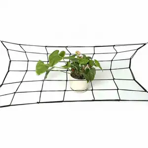 60*60Cm Elastische Netto Elastische Net Groeiende Tent Licht Ontvangende Plant Ondersteuning Gaas Voor Tuin Beschermend