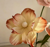 Bunga Kertas Poppy Raksasa Warna Kopi untuk Dekorasi Pernikahan, Hiasan Latar Belakang Bunga, Ornamen