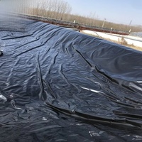 Износостойкая геомембрана из ПНД для берегов рек, прочная подкладка для реконструкции водосберегающих сооружений на реках