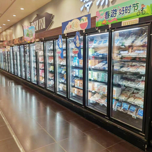 Congelatore Verticale con Porta in Vetro per Supermercati, Raffreddamento ad Aria, Controllo Digitale, Ripiani Regolabili per Esposizione di Alimenti Surgelati - Product Image 4